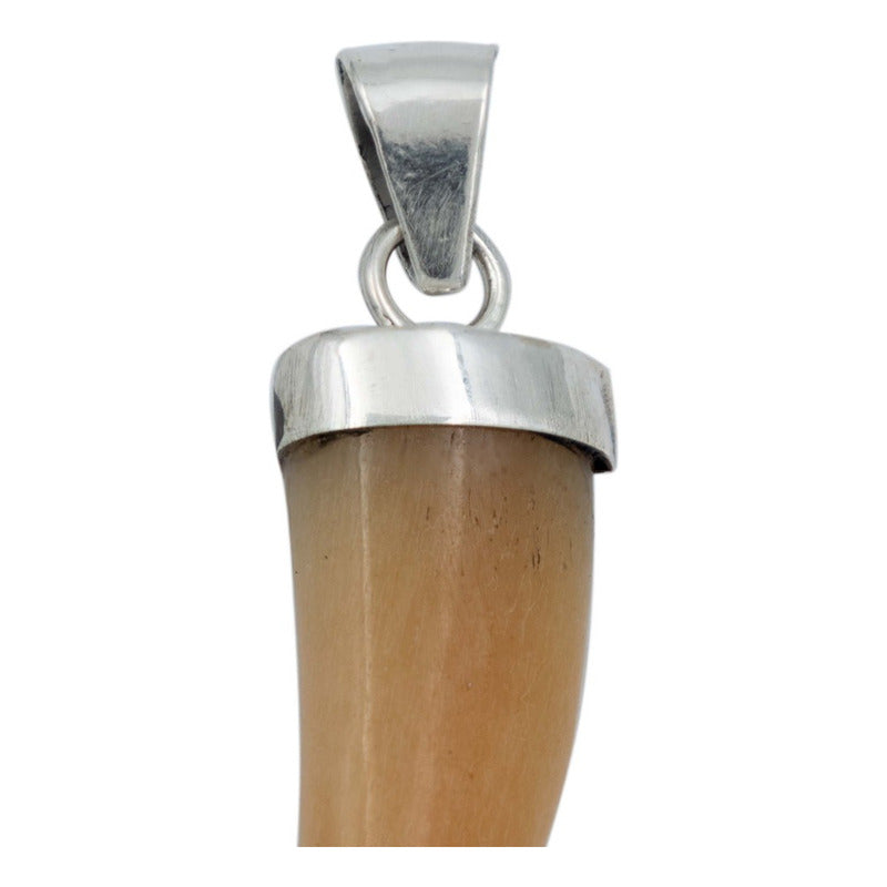 Dije Colmillo Piedra Natural Hombre Mujer Colección Plata925