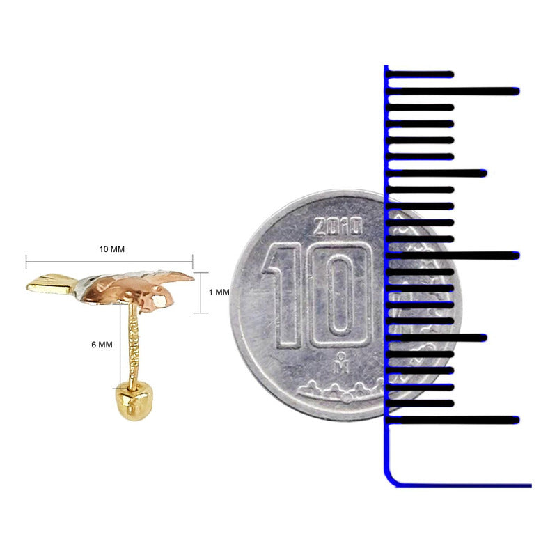 Broquel Colibri Estilo Florentino Amor Regalo Mujer Oro 10k Alto/ancho 9 Mm X 10 Mm