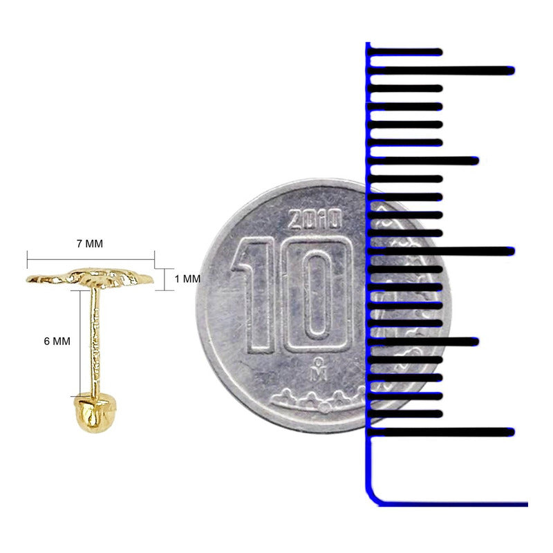 Aretes Broquel Mini Colibri Liso Mujer Amor Regalo Oro 10k