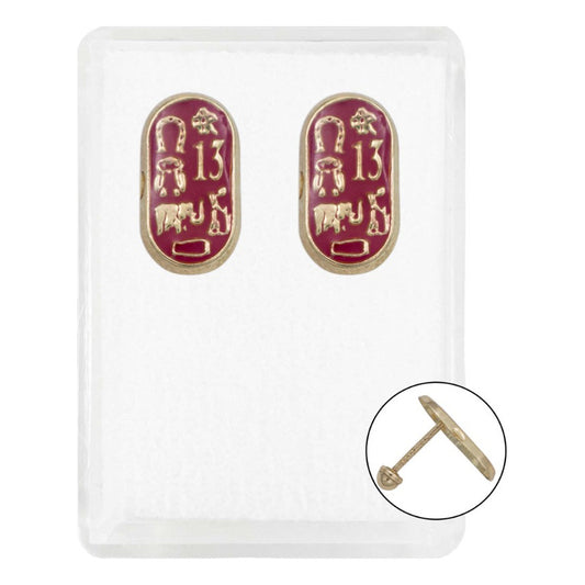 Arete Broquel Suerte Grande Trebol Arbol Esmaltado Oro 10k