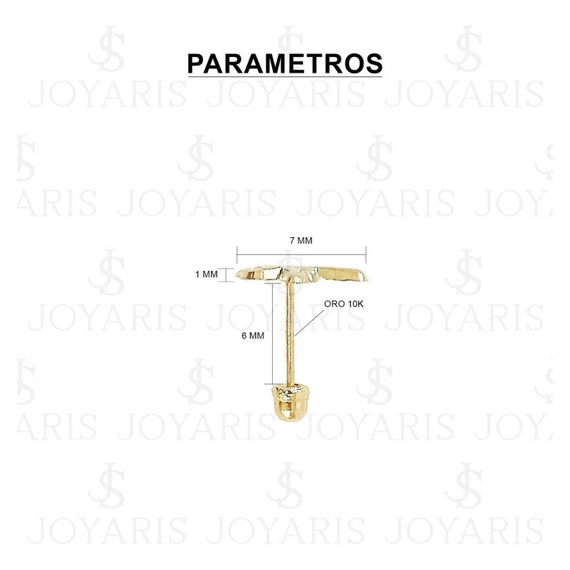 Arete Broquel Chico Colibríes Liso Amor Mujer Regalo Oro 10k