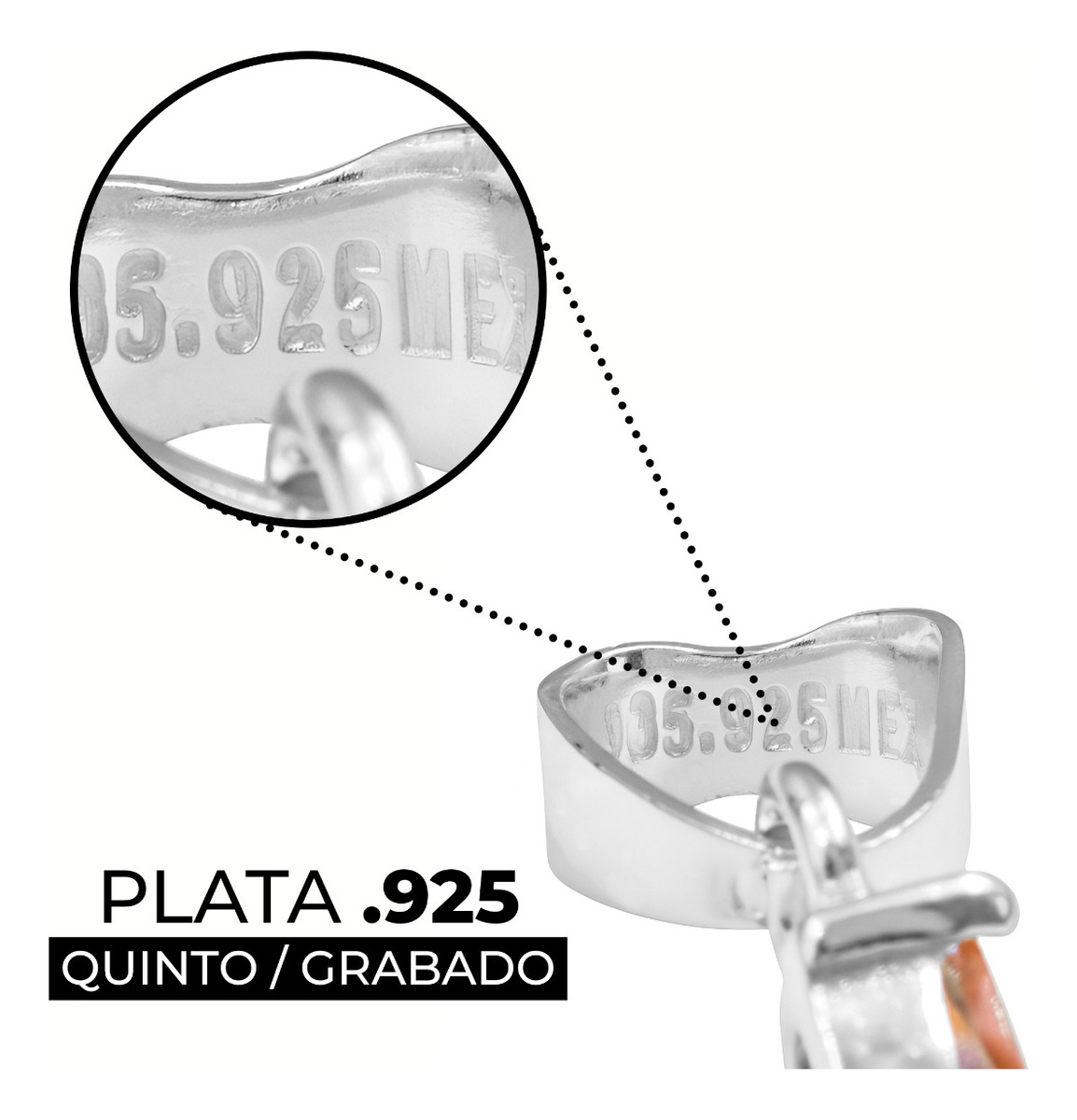 Dije Colibrí Plata 925 Zirconias Joyería Fina Regalo Mujer Violeta/rosa