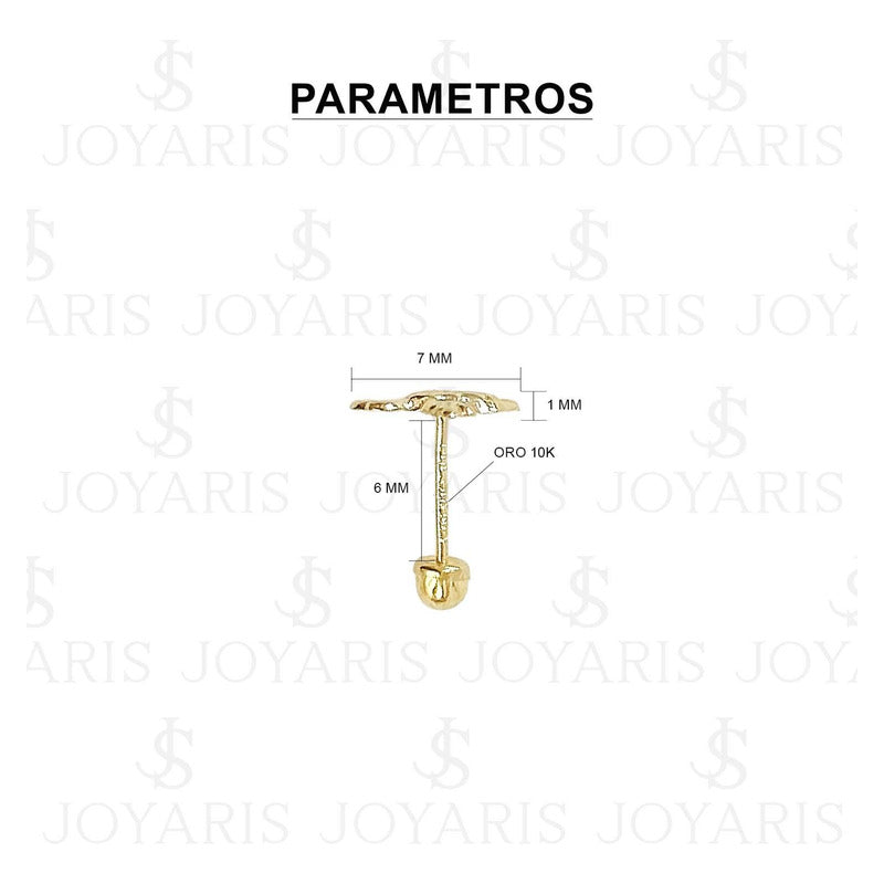 Aretes Broquel Mini Colibri Liso Mujer Amor Regalo Oro 10k