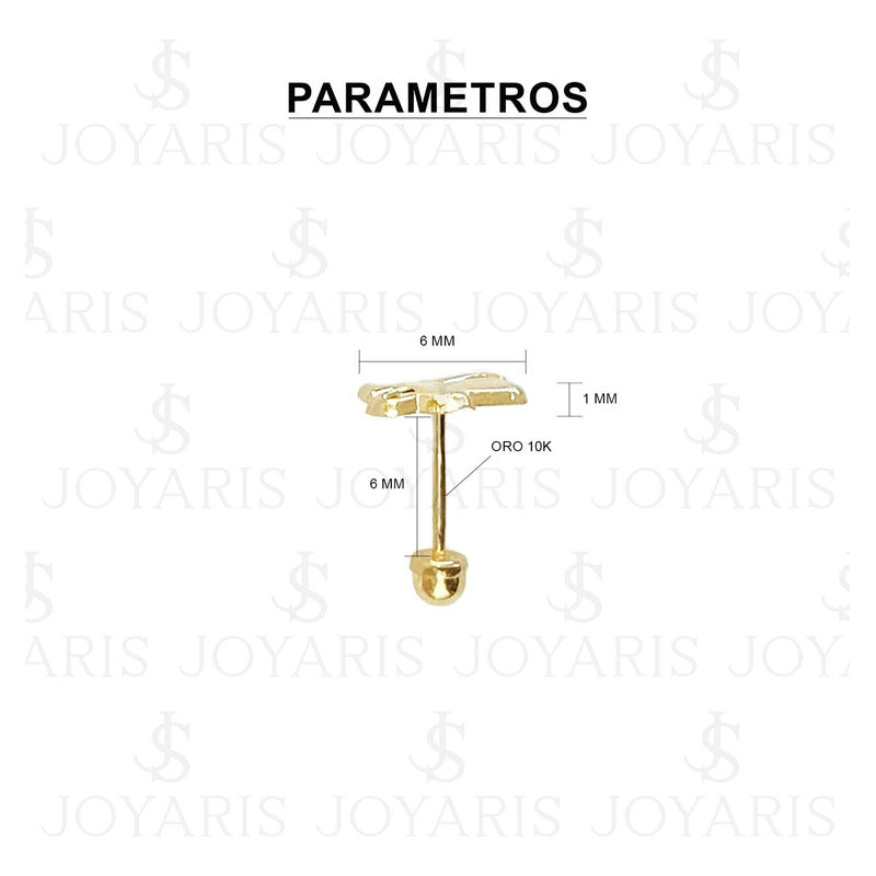 Broquel Arete Mini Santa Muerte Lisa Mujer Regalo Oro 10k Alto/ancho 9 Mm X 6 Mm