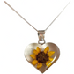 Shrek Aretes Collar Girasol Promesa Regalo Amor Plata S925
