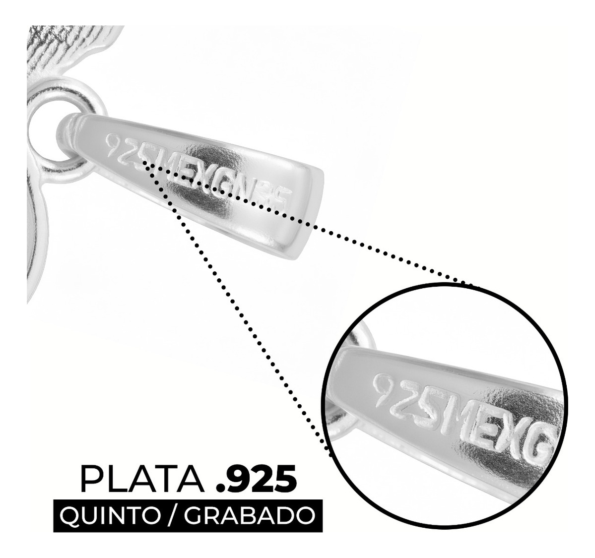 Dije Colibrí Plata 925 Zirconias Joyería Fina Regalo Mujer Rosa/celeste